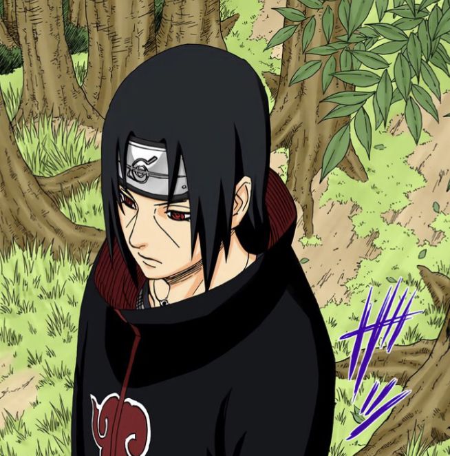 a man with black hair wearing a hoodie in the woods