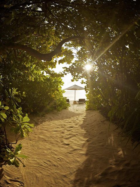 the sun shines through trees and onto a sandy path that leads to an umbrella