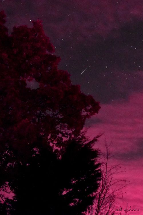 the night sky is pink and purple with stars in it, as well as some trees