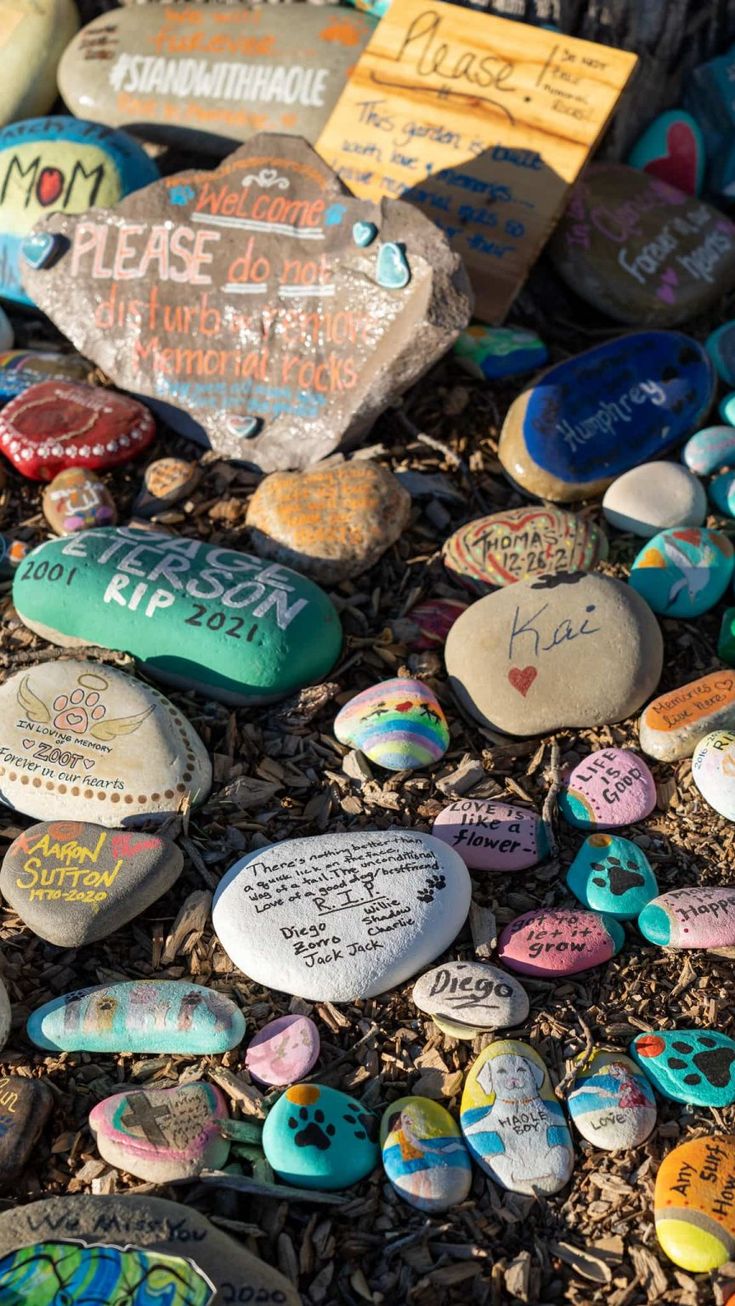 many different colored rocks with writing on them are in the dirt and there is no image here to provide a caption for