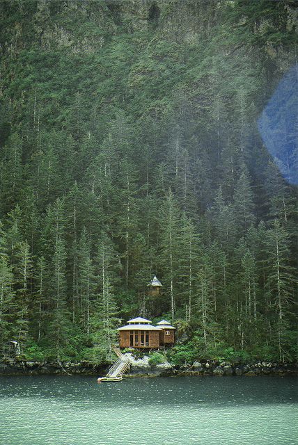 a cabin on the shore of a lake surrounded by trees