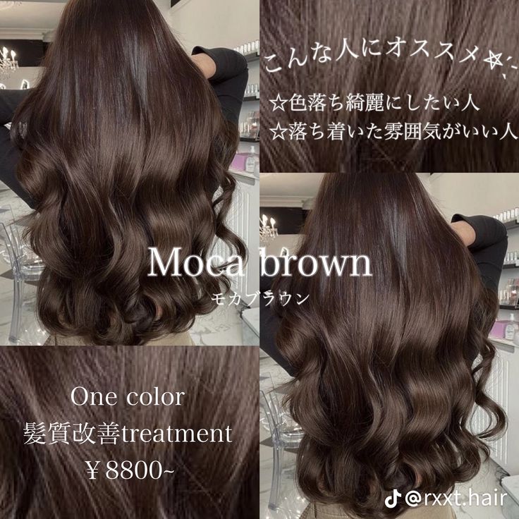 Hair Dye Chocolate Brown, Dark Brown Hair Colour Shades, Dark Mocha Hair Color, Korean Hair Color Dark, Thick Dense Hair, Asian Dyed Hair Brown, Dark Academia Hair Color, Moca Brown Hair Color, Dark Chocolate Brown Hair Medium Length