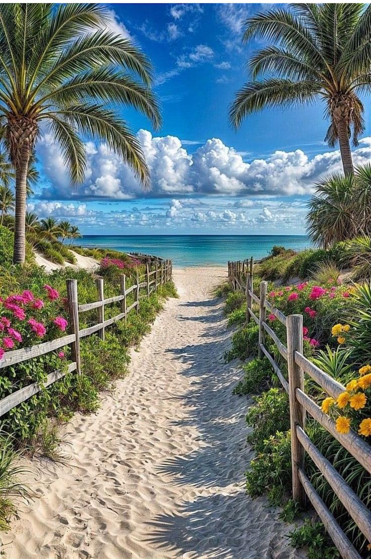 a path leading to the beach with flowers and palm trees