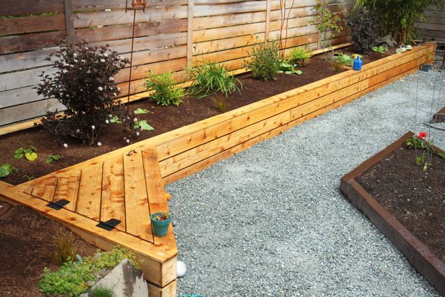 an outdoor garden area with raised wooden planters and graveled path leading up to the fence