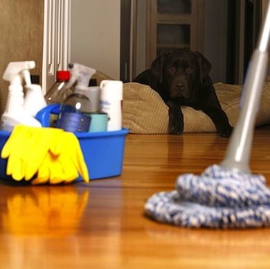 a person is cleaning the floor with a mop and duster in front of them