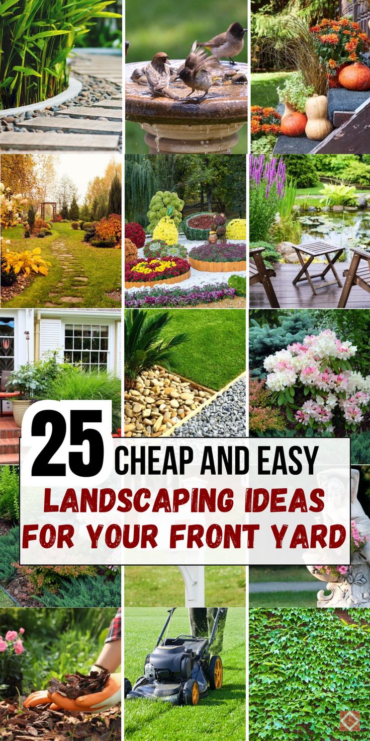 25 cheap and easy landscaping ideas for your front yard