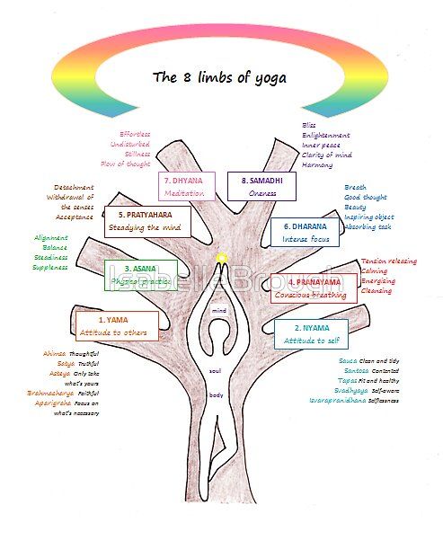 the 8 limbs of yoga tree with all its main parts labeled in rainbow colors on white paper