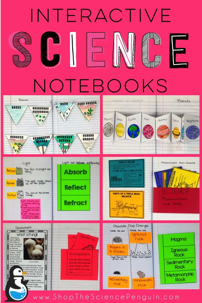 the interactive science notebooks are great for students to practice their writing skills