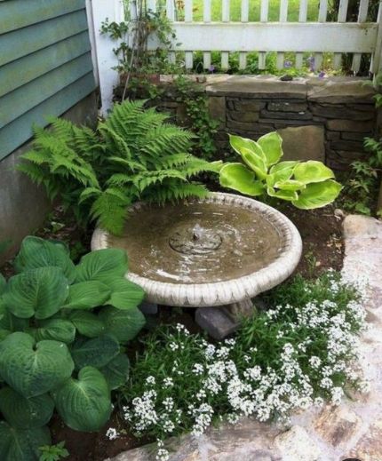 a garden with plants and a bird bath