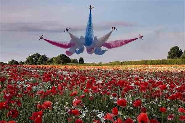 two airplanes are flying in the sky over a field full of red and white flowers