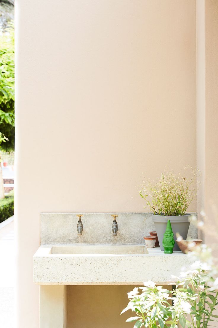 a bathroom sink sitting under a window next to a potted plant on the counter