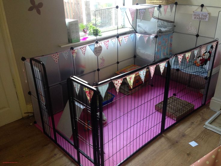 a pink and black cage with bunting flags hanging from it's sides in front of a window