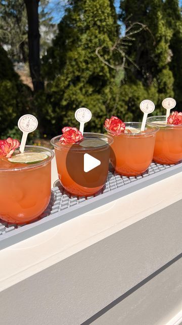 four glasses filled with drinks sitting on top of a window sill next to trees