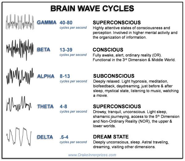 Quantum Healing Hypnosis, Brain Facts, Past Life Regression, Levels Of Consciousness, Brain Science, States Of Consciousness, Psychology Quotes, Binaural Beats, Healing Frequencies