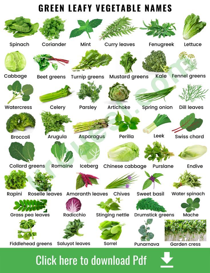 List of 45 Green Leafy Vegetables with Images Vegetables Names With Pictures, Basil Water, Fruits And Vegetables List, Name Of Vegetables, Vegetable Chart, Green Leafy Vegetables, Water Spinach, Vegetable Pictures, Different Types Of Vegetables