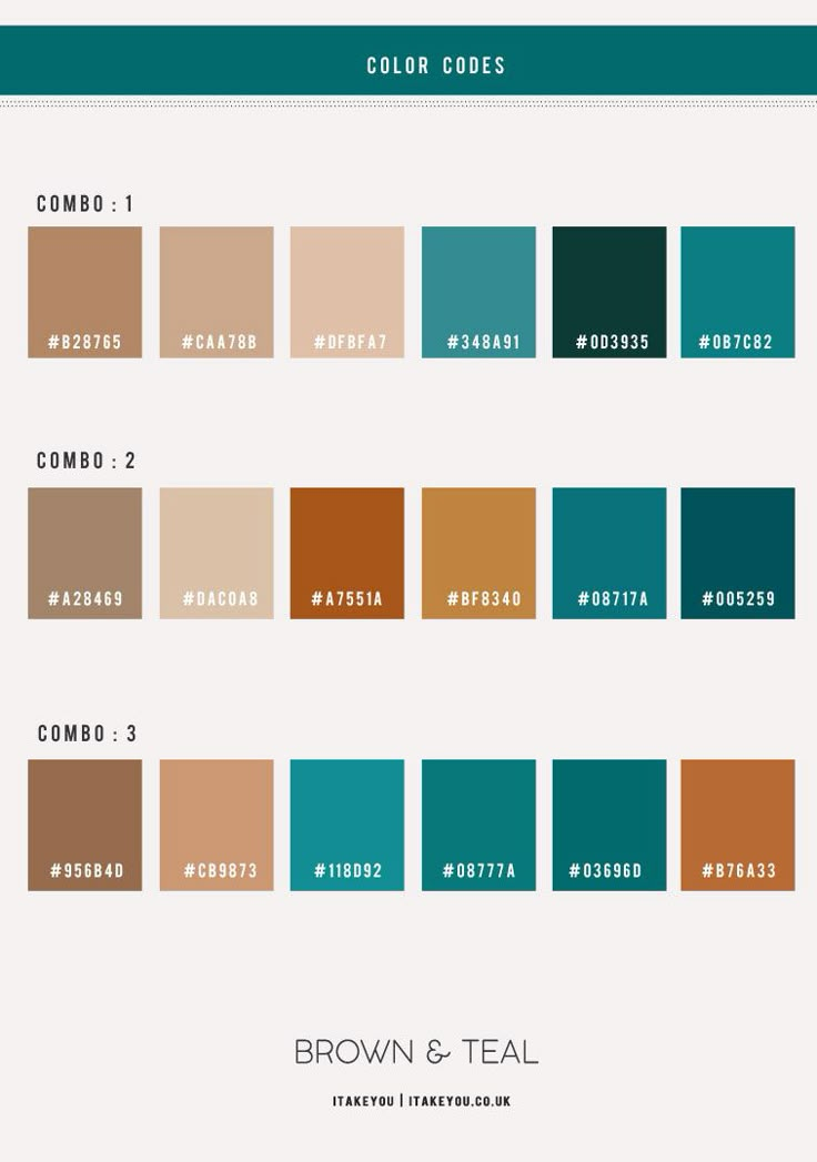 the color scheme for brown and teal is shown in this graphic style, with different shades