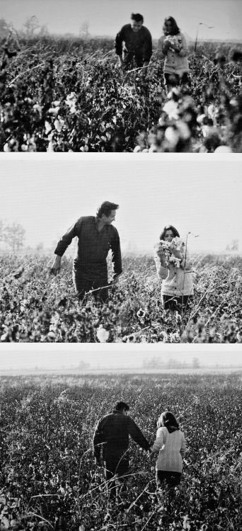 June And Johnny Cash, John Cash, Johnny Cash And June Carter, Johnny Cash And June, Johnny Cash June Carter, I Walk The Line, June Carter Cash, Johnny And June, June Carter