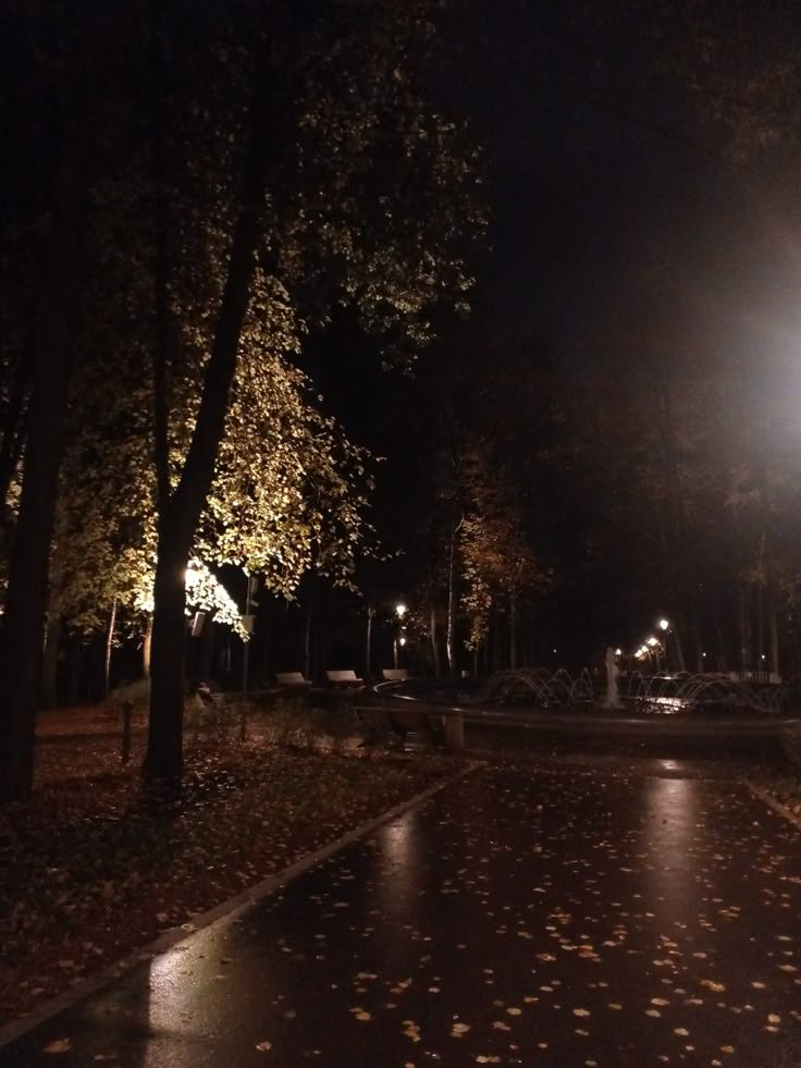 an empty street at night with leaves on the ground and lights shining in the background