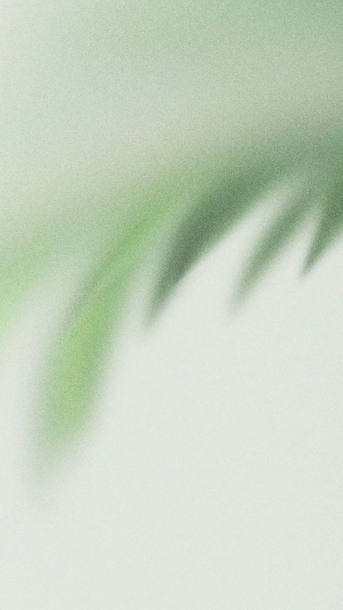 a blurry image of a green leaf on a white background