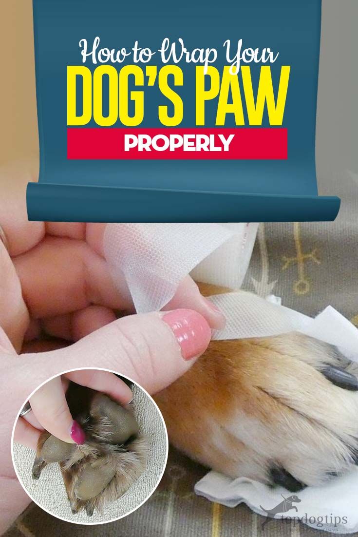 a dog's paw has been wrapped in plastic and is being held by someone