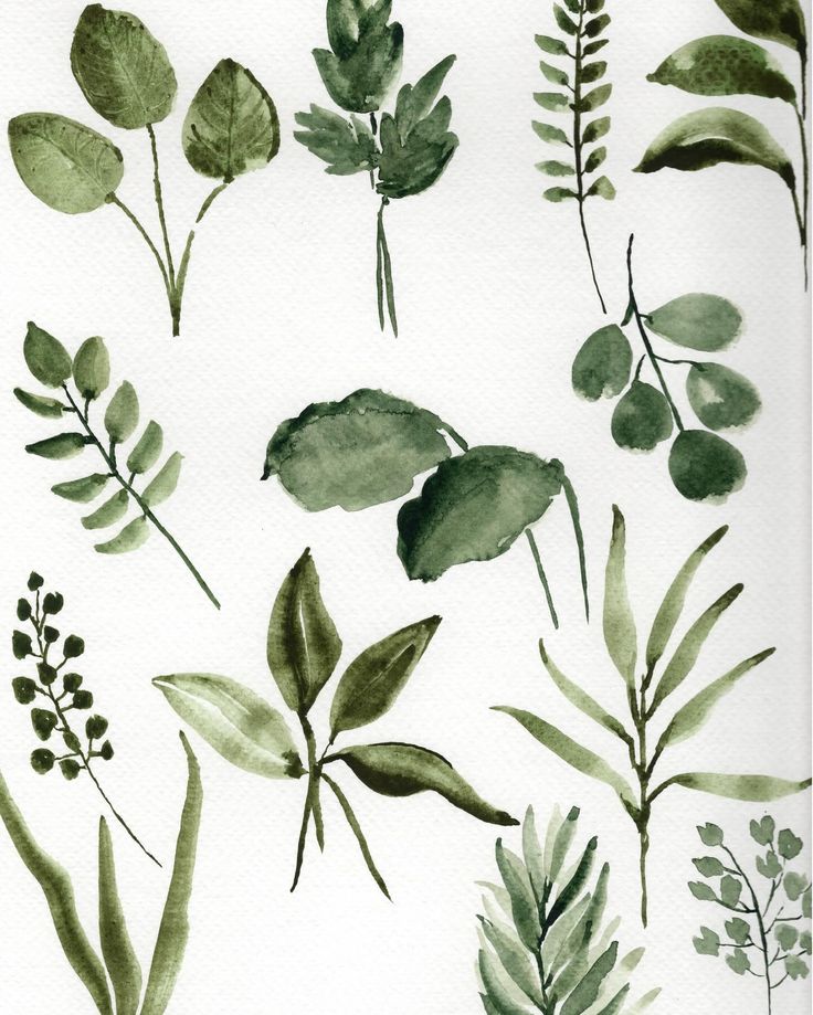 watercolor painting of green leaves and plants