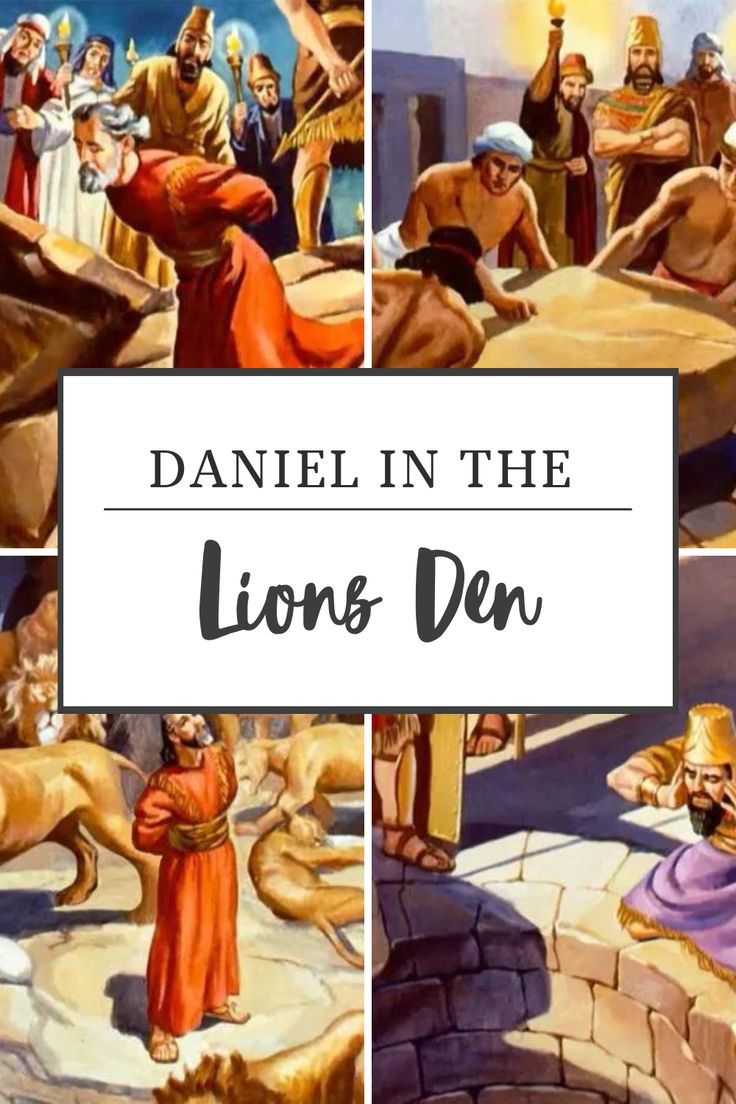 the story of daniel in the lion's den with pictures of lions and people