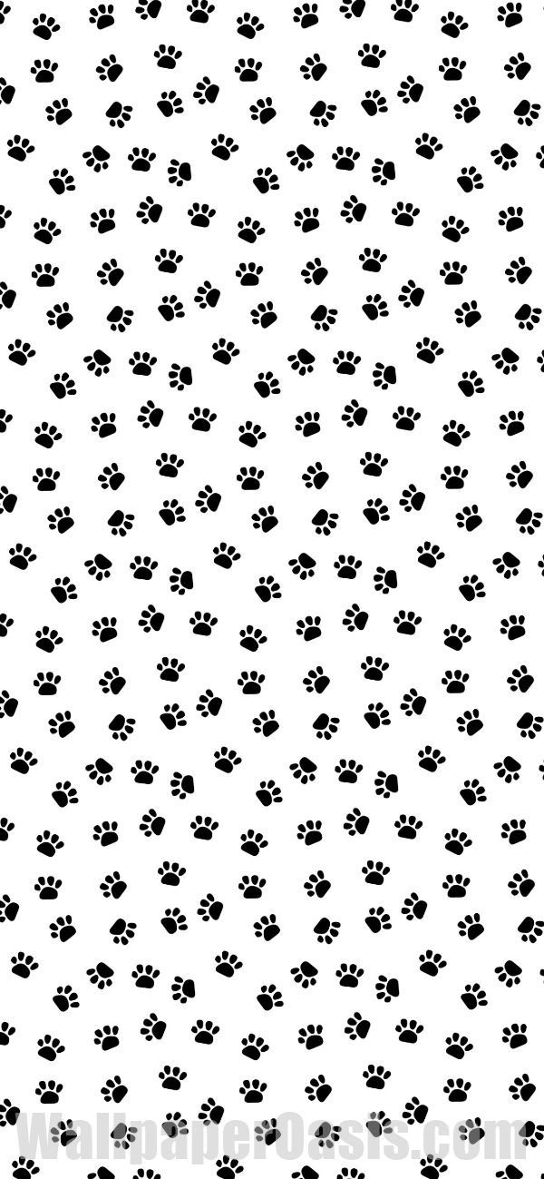 black and white dog paw prints