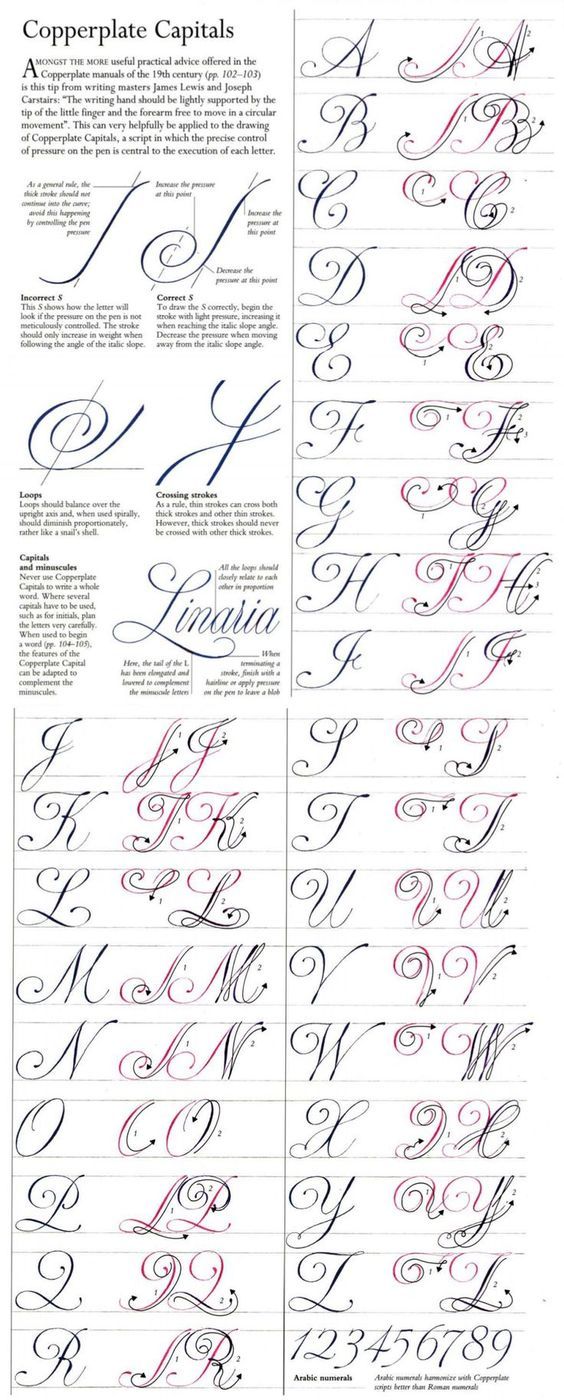 the different types of calligraphy