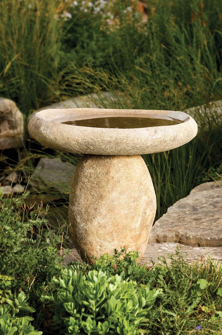 a stone bird bath sitting in the middle of some grass and rocks with plants around it