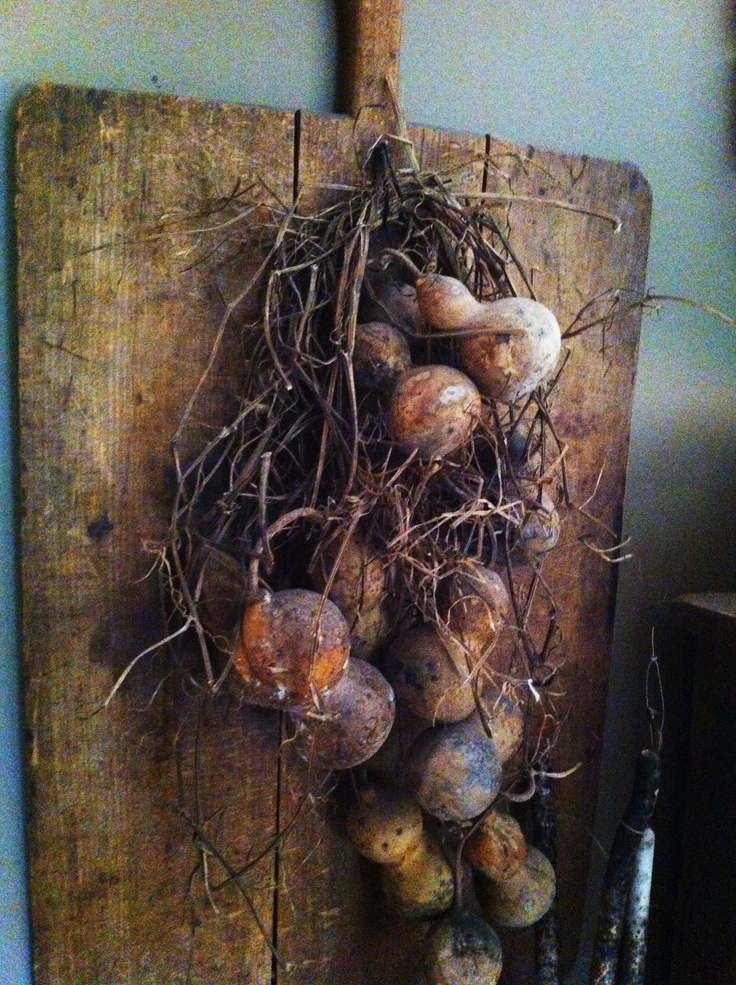 a bunch of mushrooms that are on top of a wooden board with some roots growing out of it