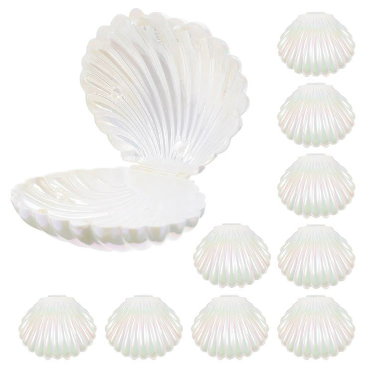 six seashells are shown in white against a white background