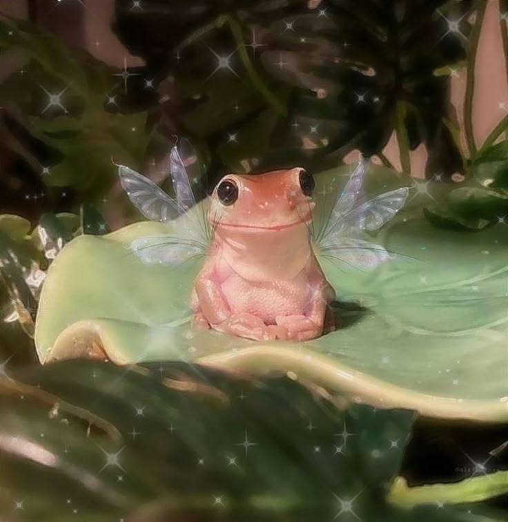 a frog sitting on top of a green leaf