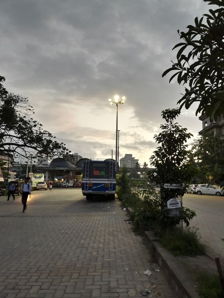 a bus parked on the side of a road next to a tree and street light