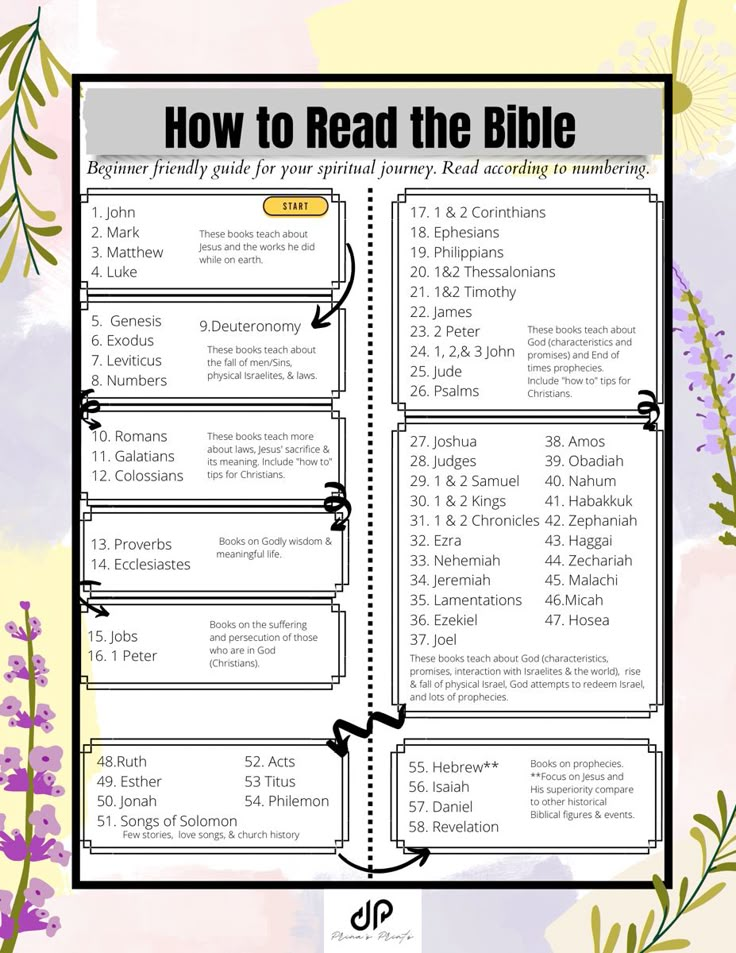 an open bible with the words how to read the bible on it and flowers around it