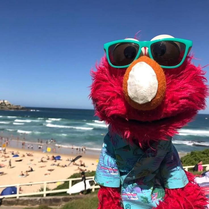 a close up of a person wearing sunglasses and a sesame character with the beach in the background