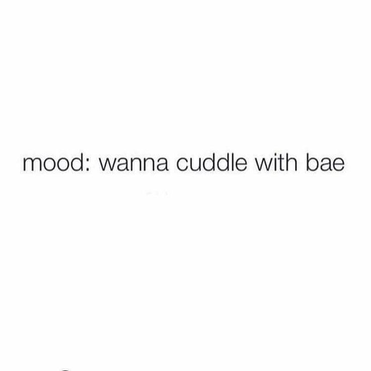 a white wall with the words mood wanna cuddle with bae