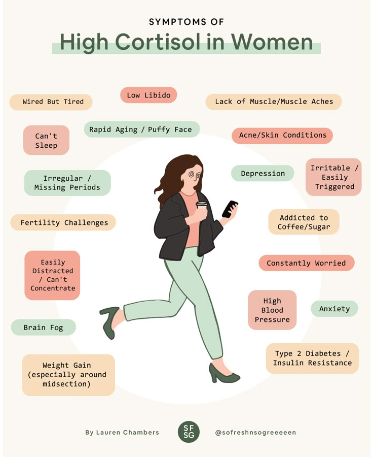 symptoms of high cortisol levels in females Cortisol Balance, Fiber Food Chart, Cortisol Diet, Cortisol Reduction, Adrenal Cocktail, Lower Cortisol, Lower Cortisol Levels, High Cortisol, Hormonal Health