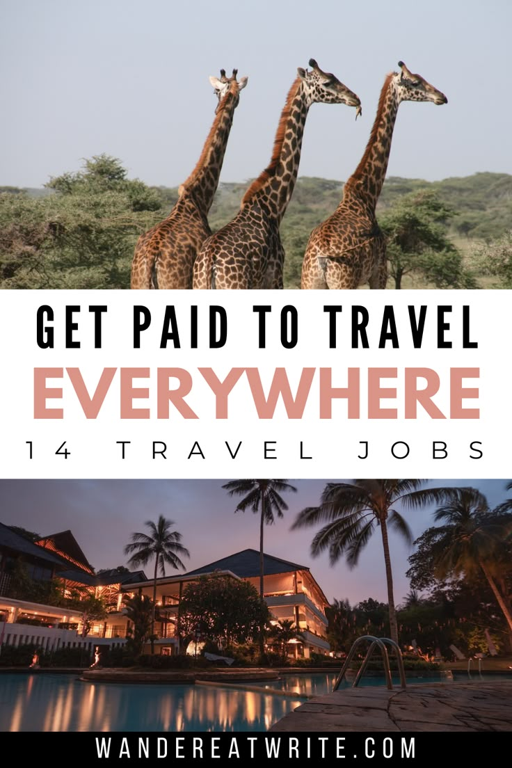 Text: Get paid to travel everywhere: 14 travel jobs; top photo: three giraffes in africa; bottom photo: night view of luxury resort with pool and palm trees Working And Traveling, Jobs To Do While Traveling, Working While Traveling, Work While Traveling, How To Be A Travel Blogger, Travel Jobs For Women, How To Become A Travel Influencer, How To Get Paid To Travel, Travel Jobs Career Ideas