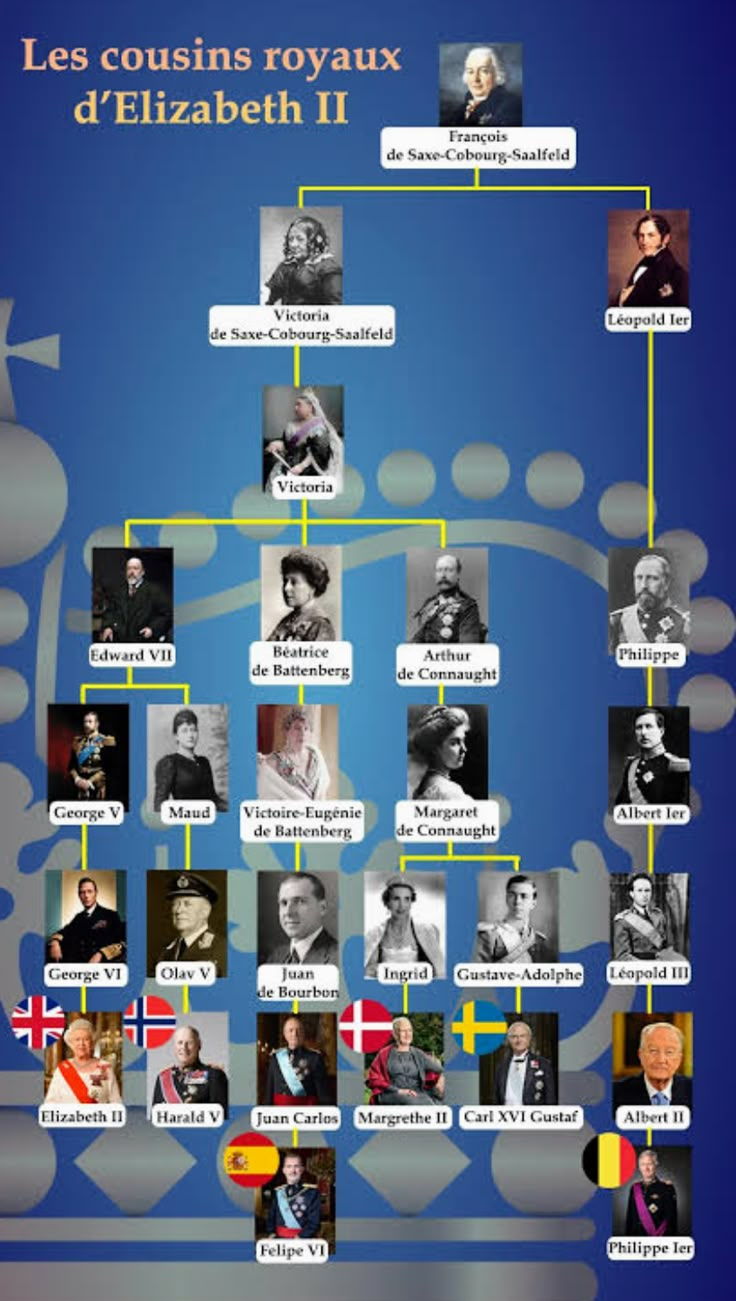 a blue poster with pictures of people and words that read les coursins royale d'elizabeth ii