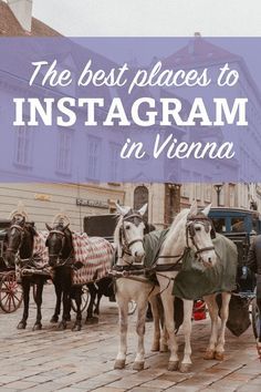 the best places to instagram in vienna