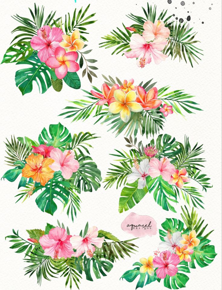 tropical flowers and leaves watercolor clipart