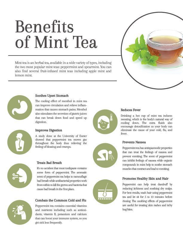 the benefits of mint tea info sheet