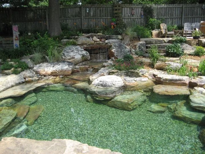 an outdoor pond surrounded by rocks and plants