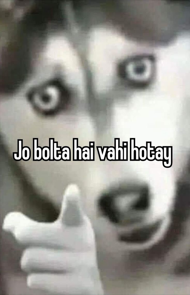 an image of a dog with the caption jo bolta hai vahi hoay