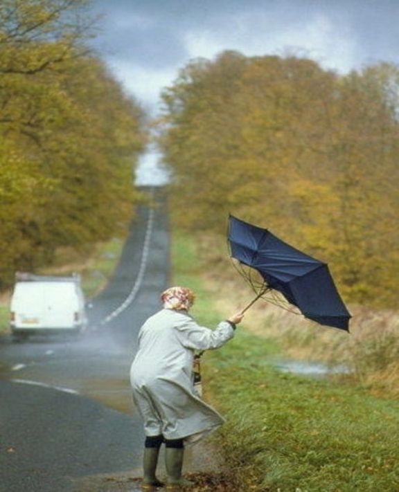 a woman holding an umbrella on the side of a road