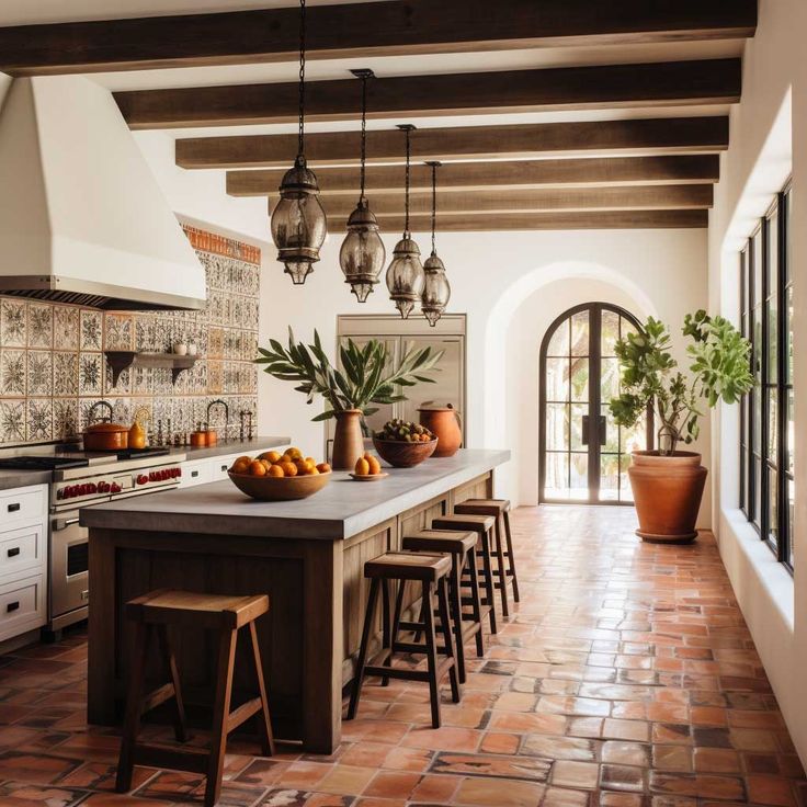 a kitchen with lots of counter space and potted plants