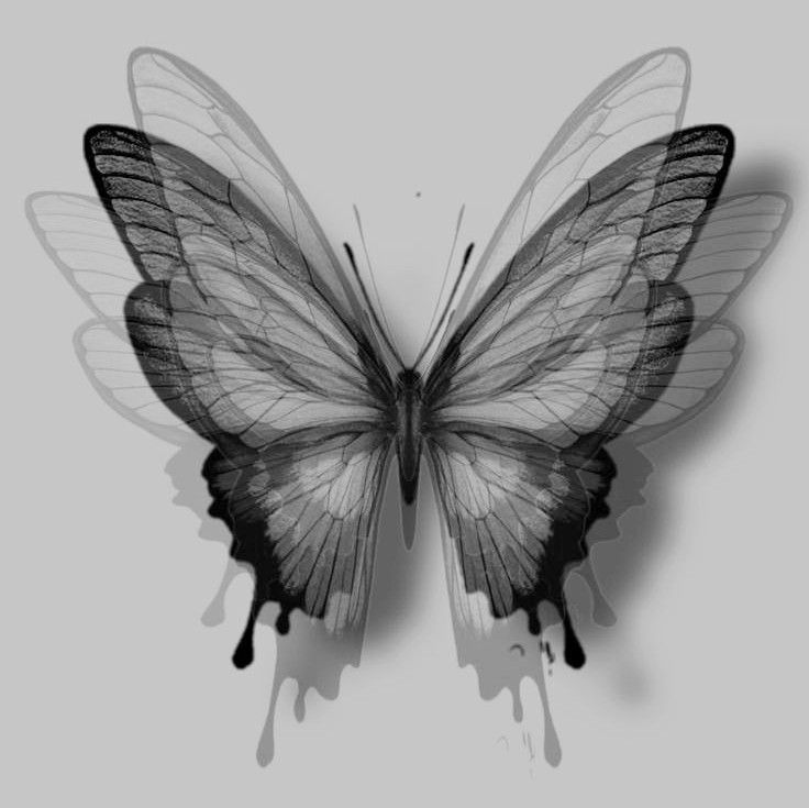 a black and white photo of a butterfly with drops of paint on it's wings