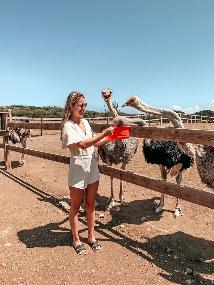 a woman standing next to an ostrich on a dirt ground near a fence