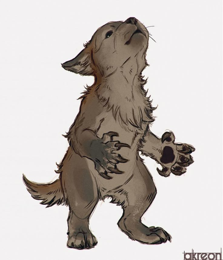 a drawing of a dog standing up with its paw in the air and looking up