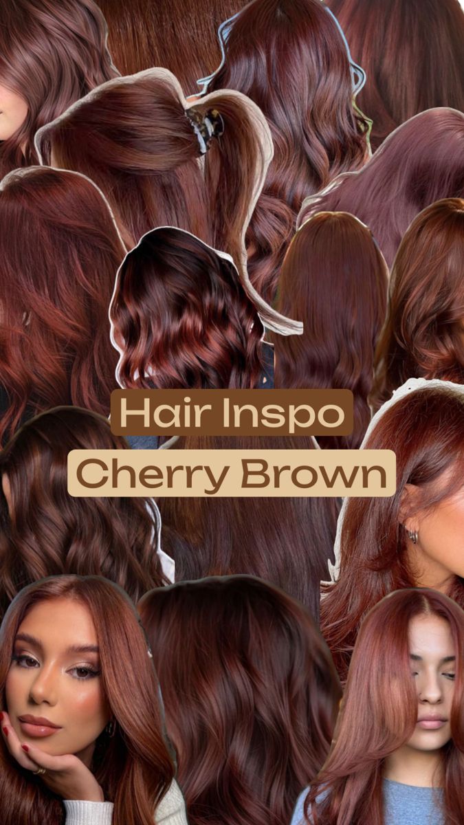 Inspiration for Cherry Brown Hair Colour Ombre Hair Blonde Medium, Brown Hair Dark Skin, Cherry Brown Hair, Hair Color For Brown Skin, Brown Hair Colour, Cherry Hair Colors, Natural Curly Hair Cuts, Wine Hair, Red Hair Inspo